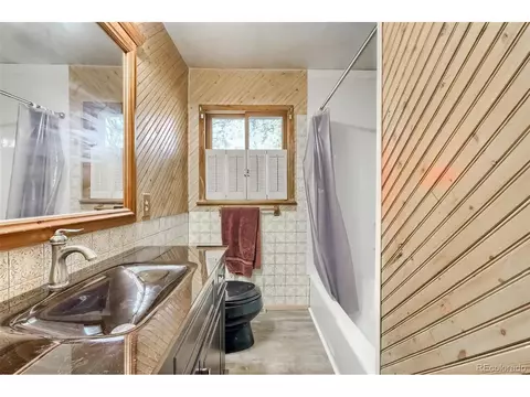 145 Bailey Dr, Bailey, CO 80421 photo 12