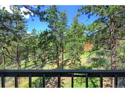 145 Bailey Dr, Bailey, CO 80421 photo 24