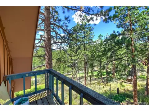 145 Bailey Dr, Bailey, CO 80421 photo 25