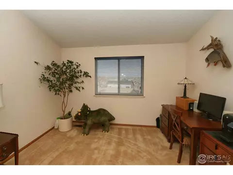 5723 E 123rd Dr, Brighton, CO 80602 photo 3