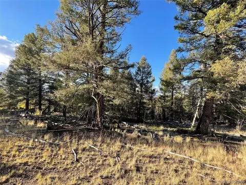 1314 Caracara Ln, Como, CO 80432 photo 6