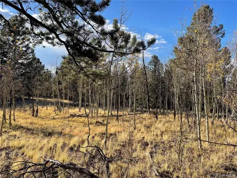 1314 Caracara Ln, Como, CO 80432 photo 3