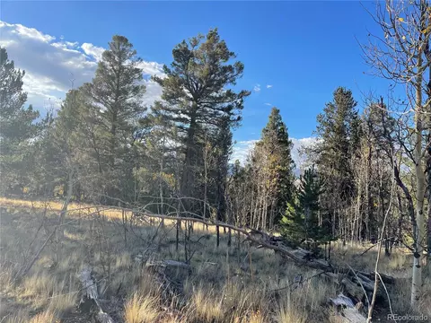 1314 Caracara Ln, Como, CO 80432 photo 4