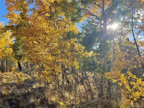 1314 Caracara Ln, Como, CO 80432