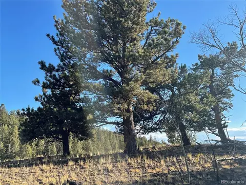 1314 Caracara Ln, Como, CO 80432 photo 7