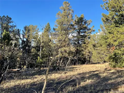 1314 Caracara Ln, Como, CO 80432 photo 10
