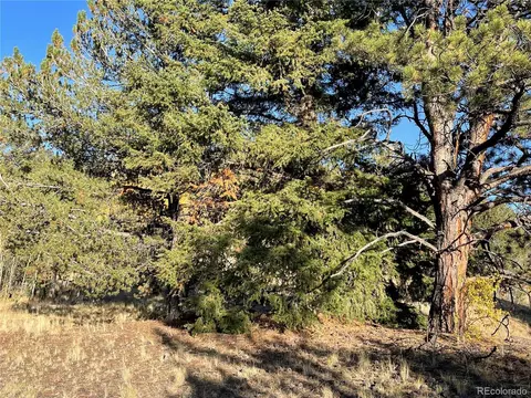 1314 Caracara Ln, Como, CO 80432 photo 8