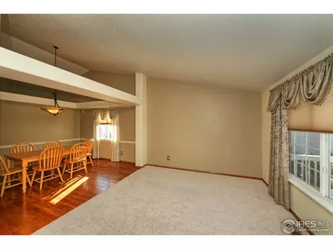13840 Eudora St, Thornton, CO 80602 photo 21