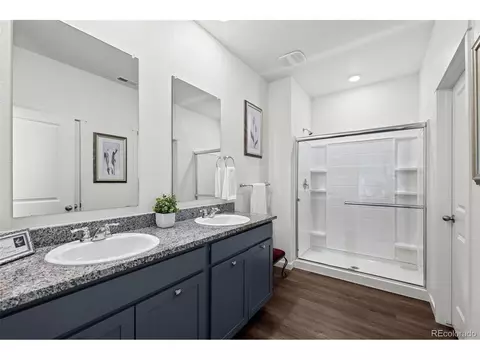 6075 Holstein Dr, Windsor, CO 80528 photo 20