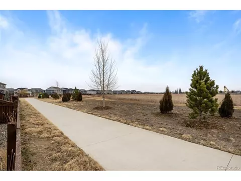 6075 Holstein Dr, Windsor, CO 80528 photo 30