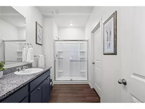 6075 Holstein Dr, Windsor, CO 80528 photo 21