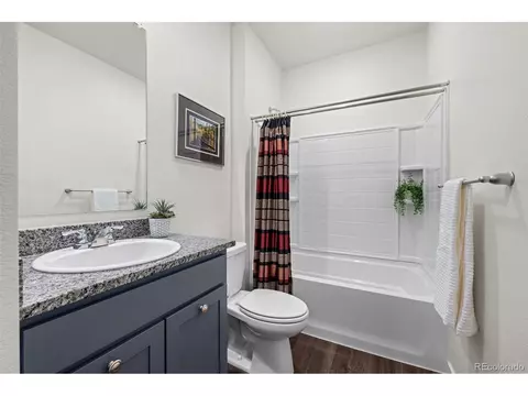 6075 Holstein Dr, Windsor, CO 80528 photo 23