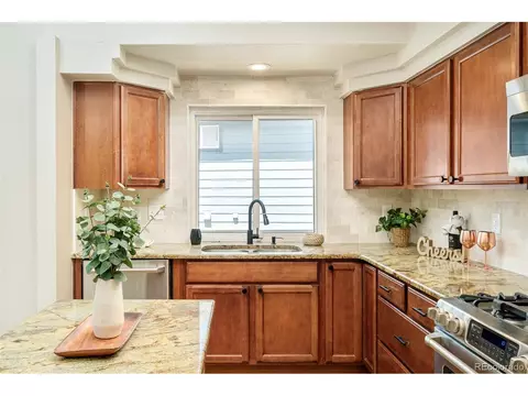 19595 N Mitchell Dr, Denver, CO 80249 photo 14