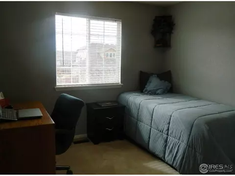 6495 Tilbury St, Firestone, CO 80504 photo 18