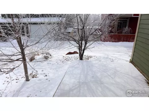 1890 Tansy Pl, Boulder, CO 80304 photo 13