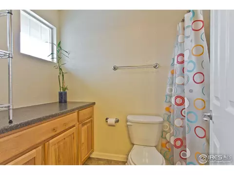 306 Bittern Dr, Johnstown, CO 80534 photo 18