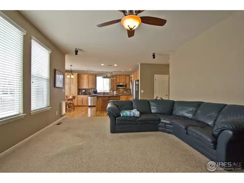 306 Bittern Dr, Johnstown, CO 80534 photo 10