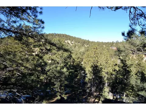 102 Pine Tree Ln, Boulder, CO 80304 photo 6