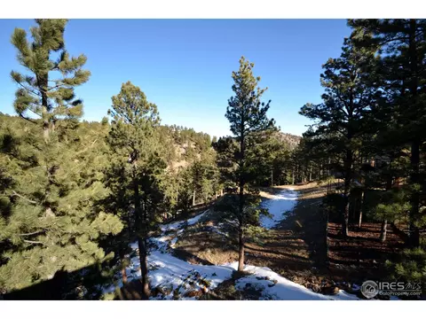 102 Pine Tree Ln, Boulder, CO 80304 photo 7