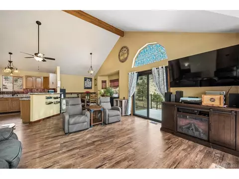 Living - 175 Blackbird Dr, Bailey, CO 80421 photo 3 of 3