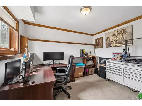 Other - 175 Blackbird Dr, Bailey, CO 80421 photo 4 of 9