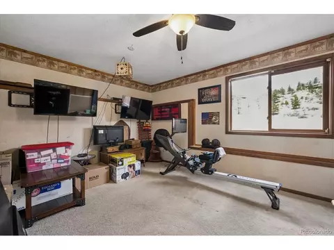 Other - 175 Blackbird Dr, Bailey, CO 80421 photo 3 of 9