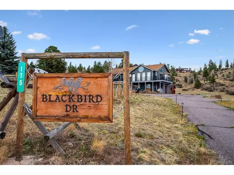 Other - 175 Blackbird Dr, Bailey, CO 80421 photo 7 of 9