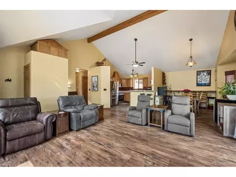 Living - 175 Blackbird Dr, Bailey, CO 80421 photo 2 of 3