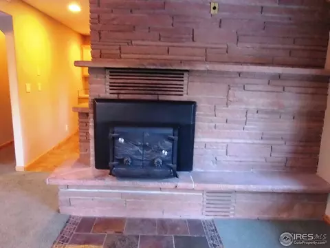25 Fawn Ct, Lyons, CO 80540 photo 24