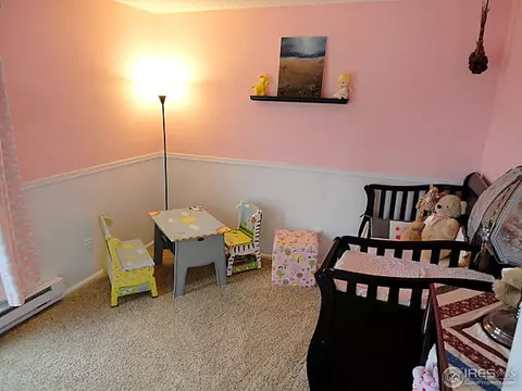 4694 E 109th Pl, Thornton, CO 80233 photo 9