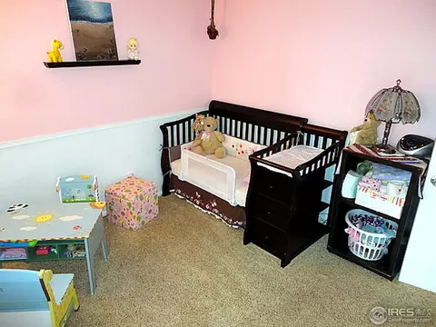 4694 E 109th Pl, Thornton, CO 80233 photo 10