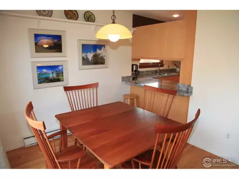 3695 Silver Plume Ln, Boulder, CO 80305 photo 18