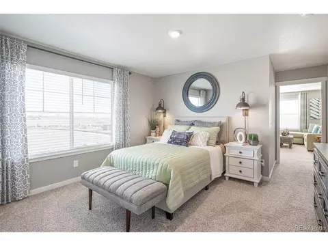4978 Buelingo Dr, Windsor, CO 80528 photo 24