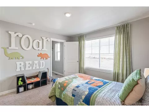 4978 Buelingo Dr, Windsor, CO 80528 photo 27