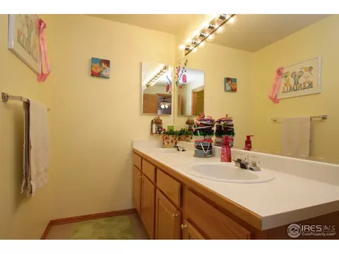 4855 Egret Dr, Frederick, CO 80504 photo 15
