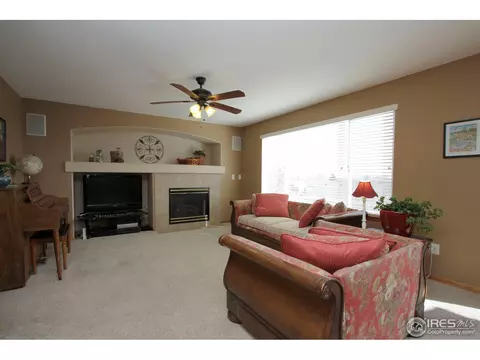 1006 E 96th Pl, Thornton, CO 80229 photo 4