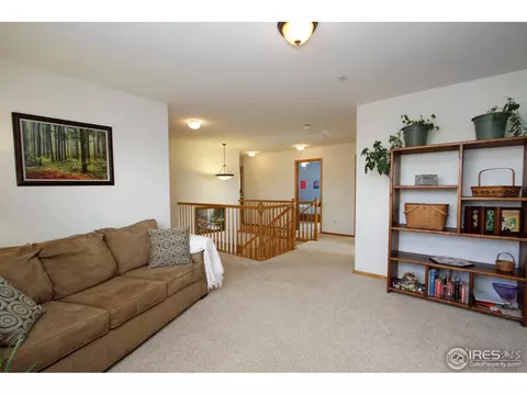 1006 E 96th Pl, Thornton, CO 80229 photo 17