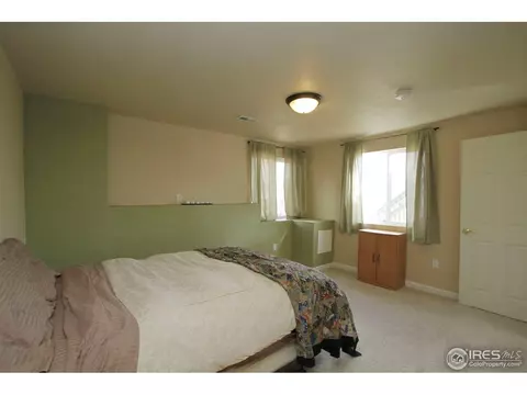 1006 E 96th Pl, Thornton, CO 80229 photo 20