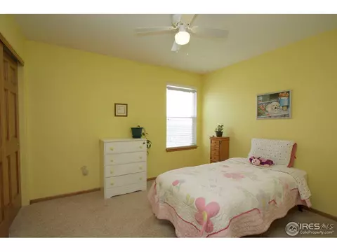1006 E 96th Pl, Thornton, CO 80229 photo 12