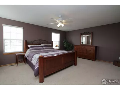1006 E 96th Pl, Thornton, CO 80229 photo 10