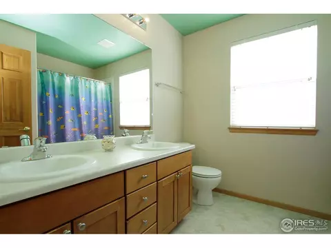 1006 E 96th Pl, Thornton, CO 80229 photo 14