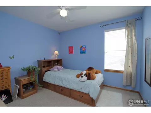 1006 E 96th Pl, Thornton, CO 80229 photo 13