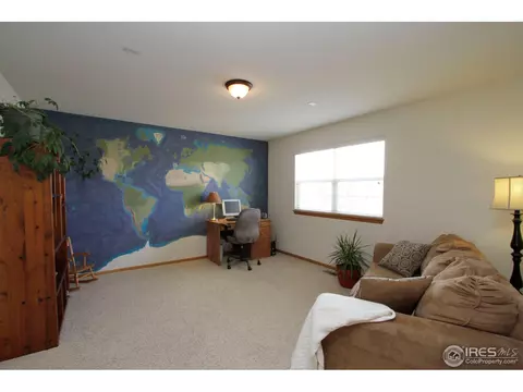 1006 E 96th Pl, Thornton, CO 80229 photo 16