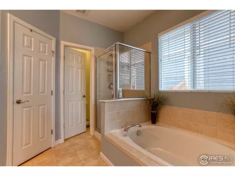 61 Apache Plume Ct, Brighton, CO 80601 photo 7
