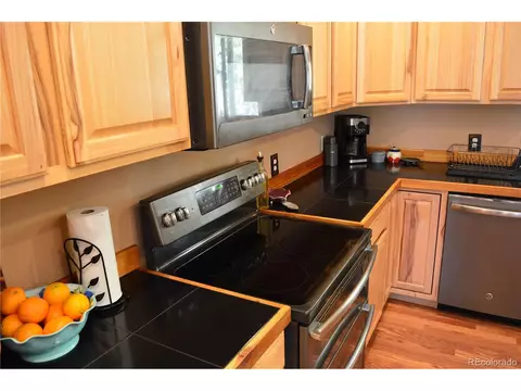 237 Atlantis Dr, Black Hawk, CO 80422 photo 9