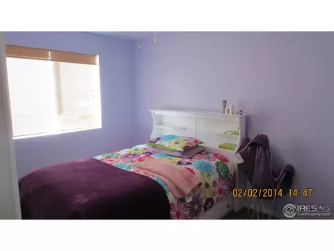 9684 E 112th Dr, Henderson, CO 80640 photo 9