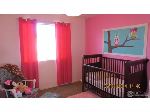 9684 E 112th Dr, Henderson, CO 80640 photo 10