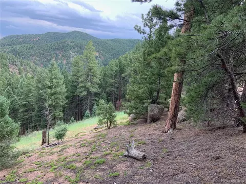 13982 Blue Jay Ln, Larkspur, CO 80118
