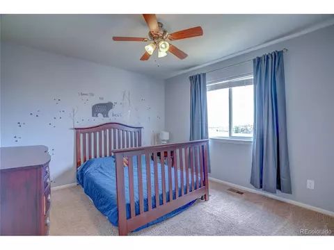 13087 Devils Thumb Pl, Peyton, CO 80831 photo 23