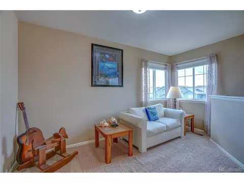 13087 Devils Thumb Pl, Peyton, CO 80831 photo 17